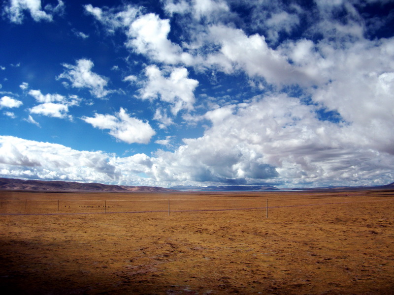 dscf0625.jpg