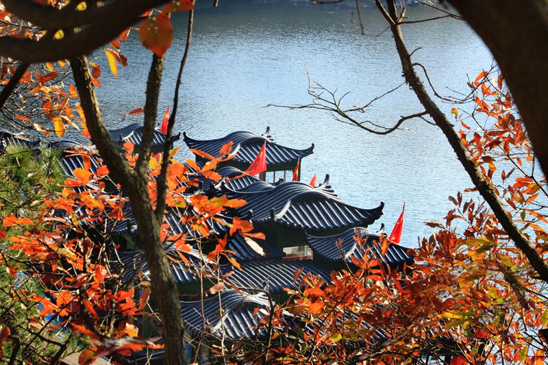 2013.11.29 (26)_.jpg