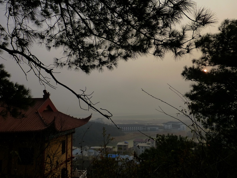 p1150118.jpg