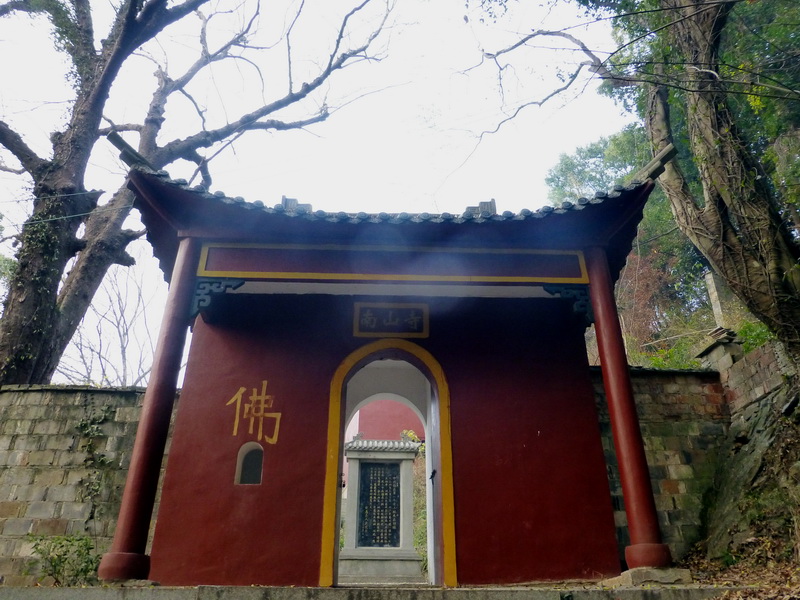 p1150119.jpg