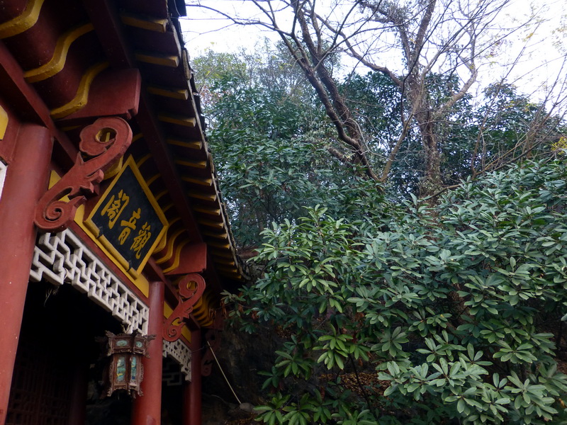 p1150122.jpg
