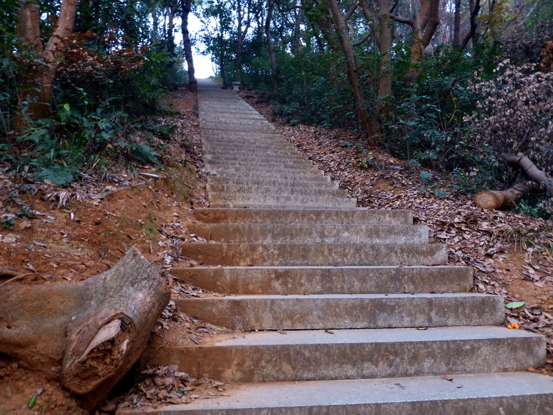p1150123.jpg
