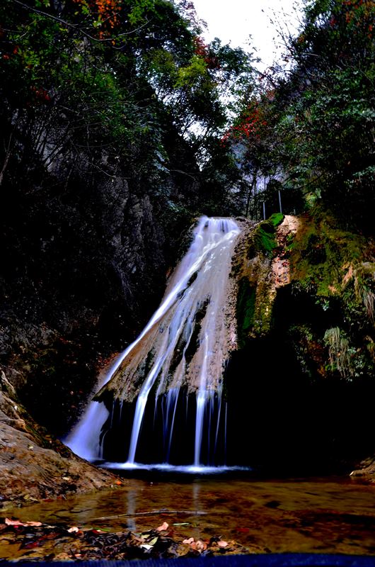dsc_6724.jpg