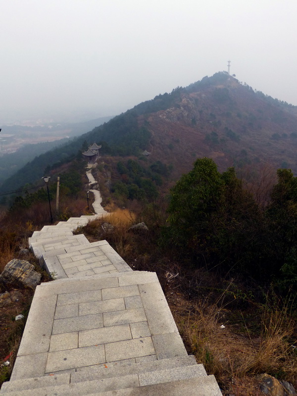 p1150135.jpg