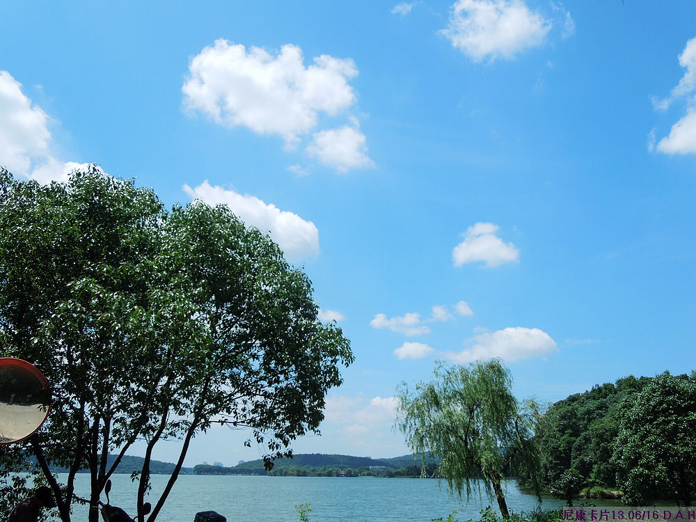 dscn0513.jpg