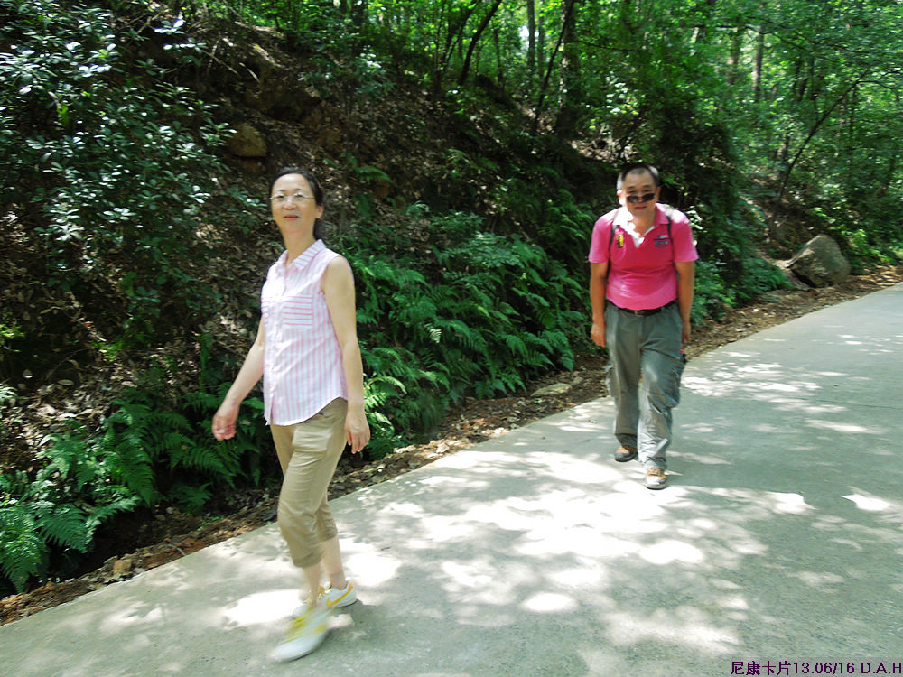 dscn0433.jpg