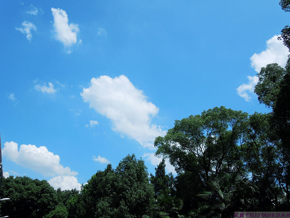dscn0557.jpg