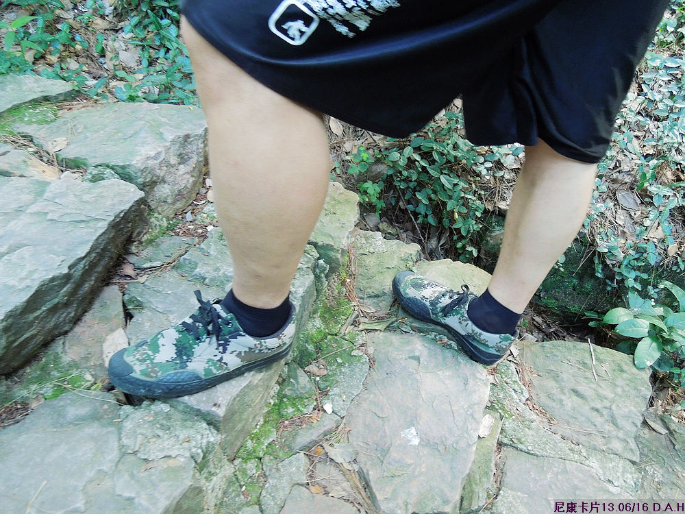 dscn0384.jpg