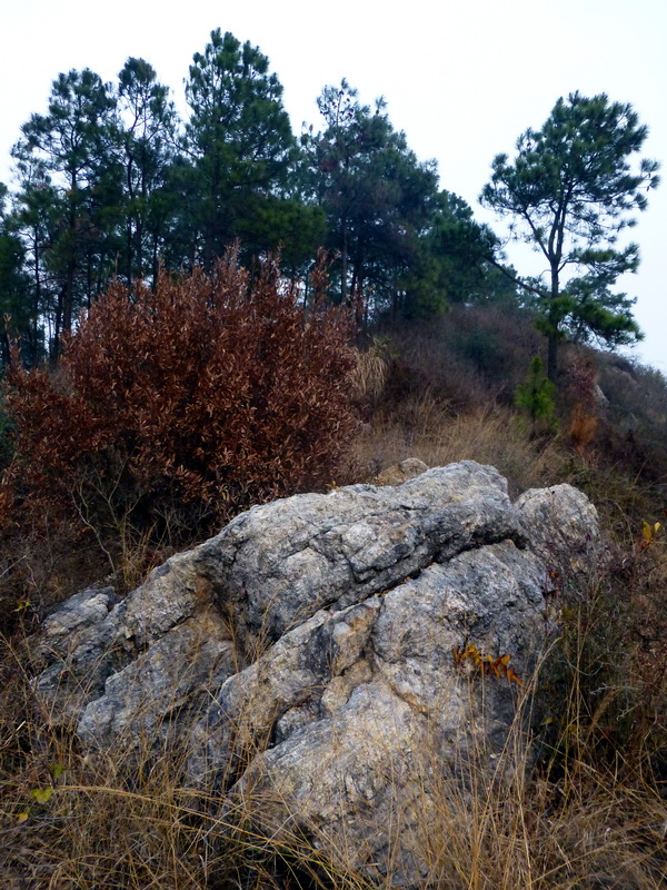 p1150146.jpg