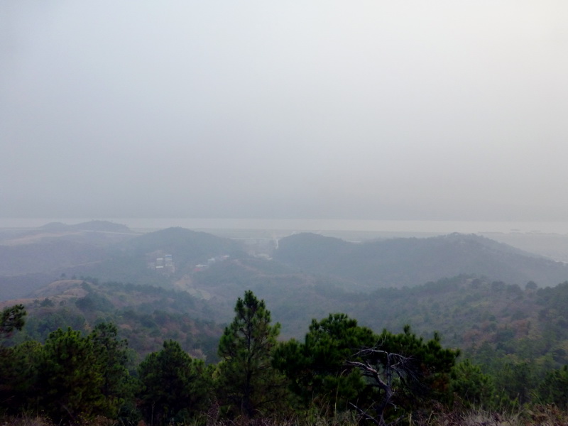 p1150148.jpg