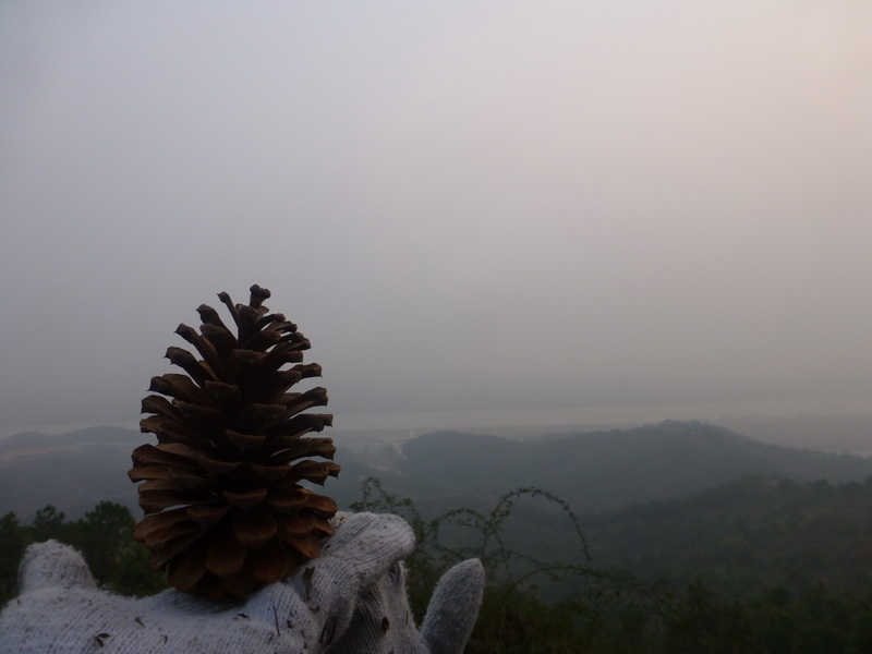 p1150149.jpg
