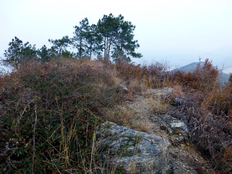 p1150150.jpg