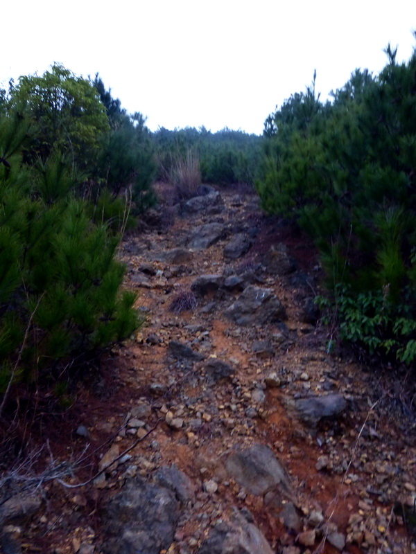 p1150156.jpg
