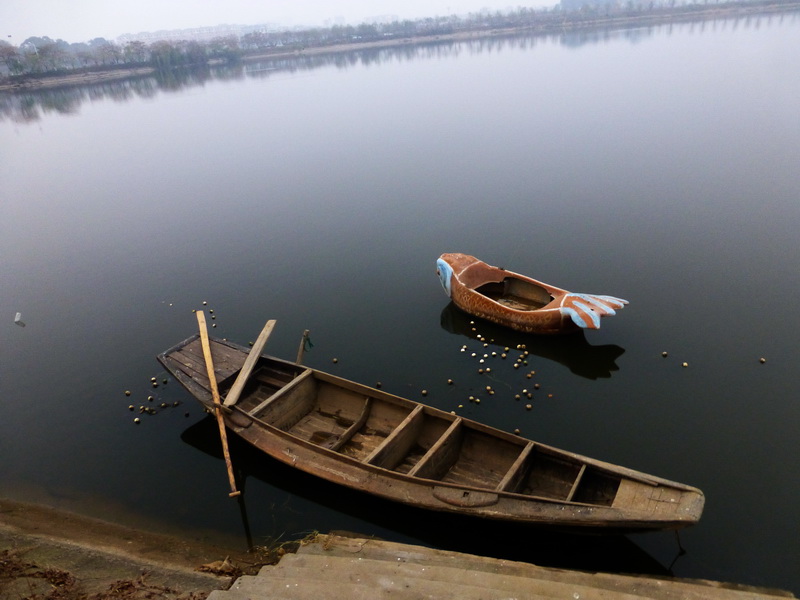 p1150164.jpg
