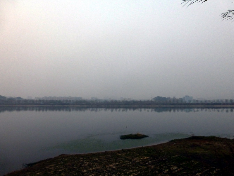 p1150170.jpg