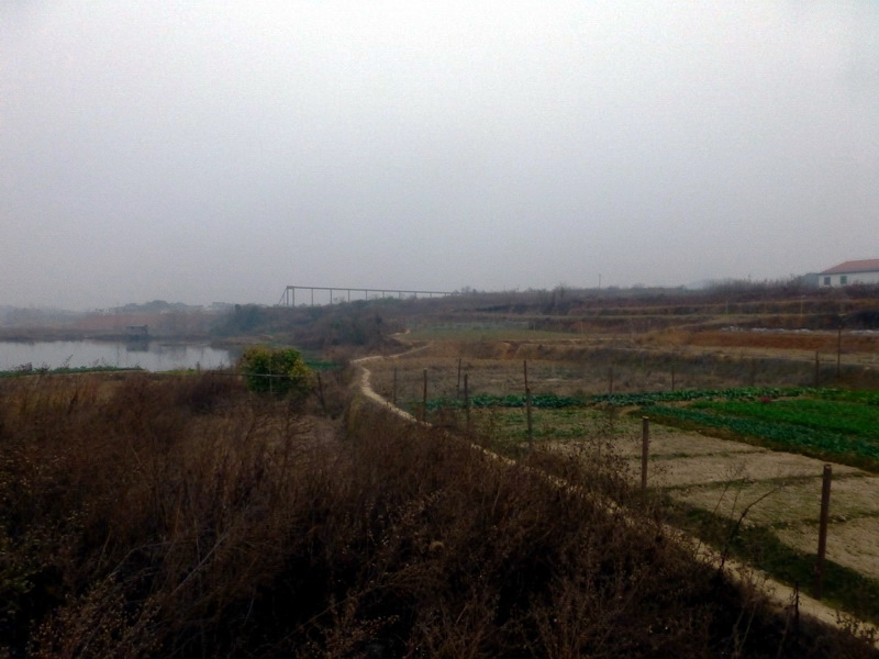 p1150171.jpg