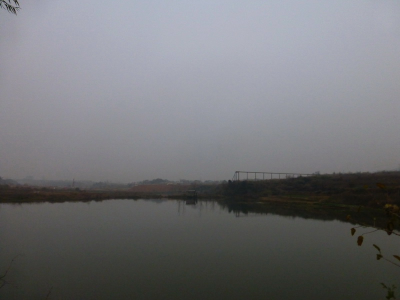p1150172.jpg