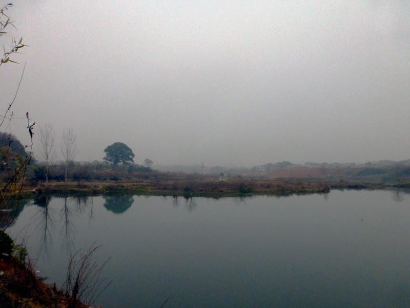 p1150174.jpg