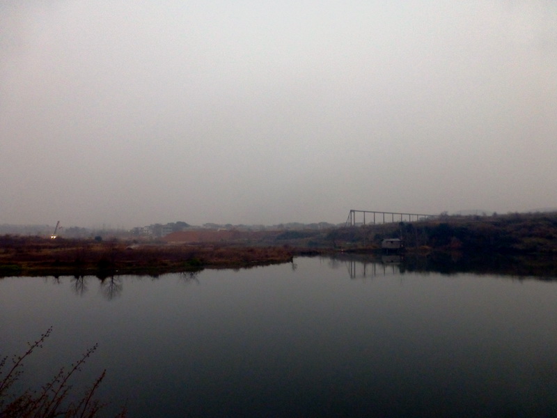 p1150179.jpg