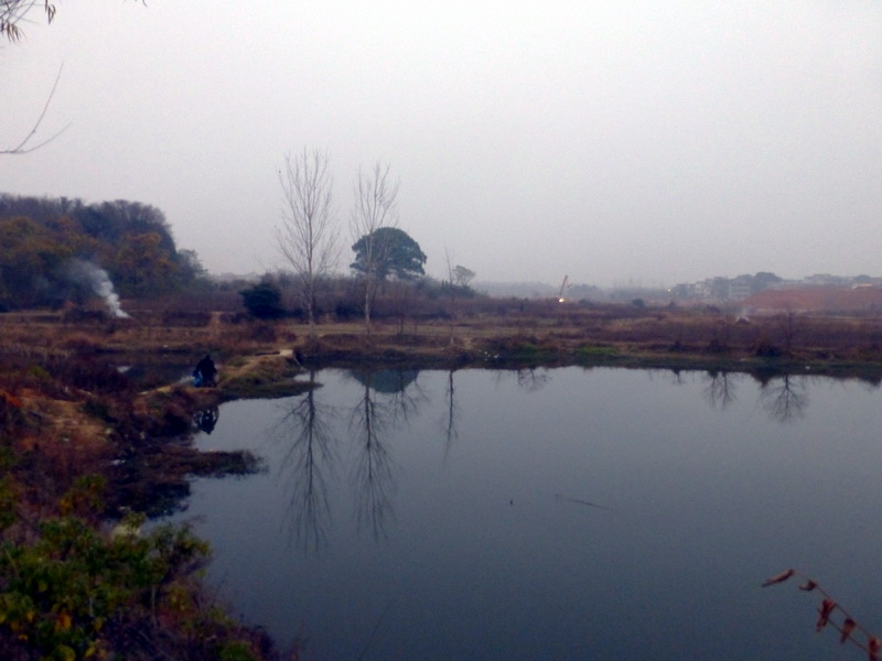 p1150181.jpg