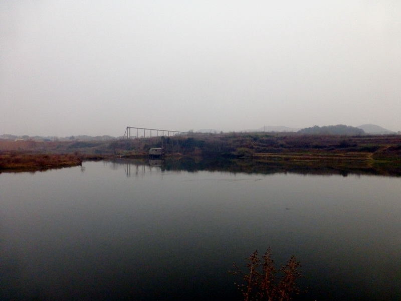 p1150175.jpg