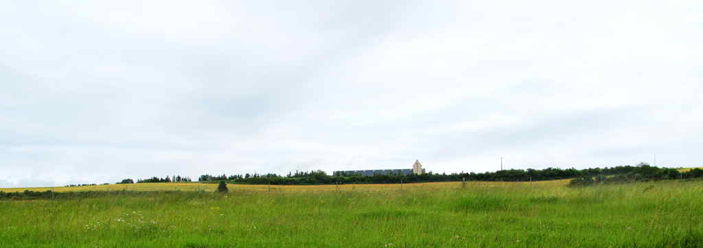 img_1786_.jpg