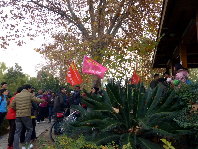 p1150349.jpg