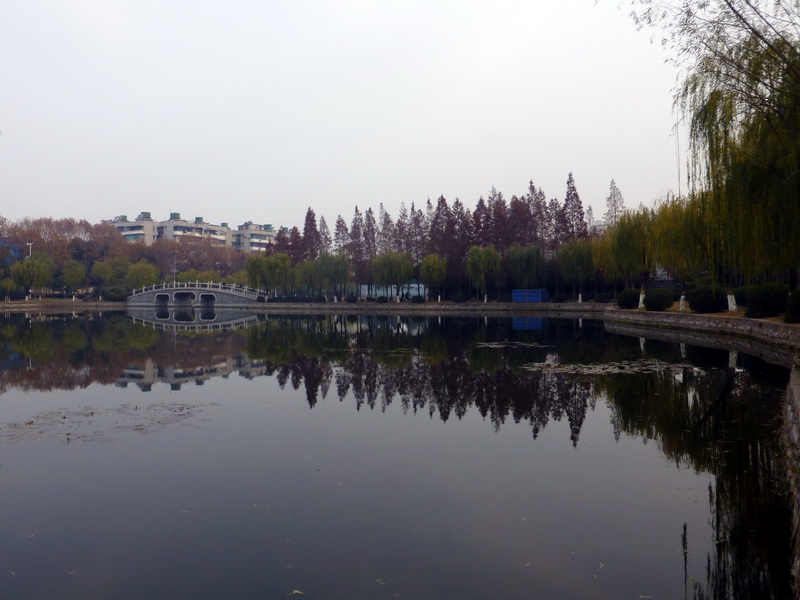 p1150298.jpg