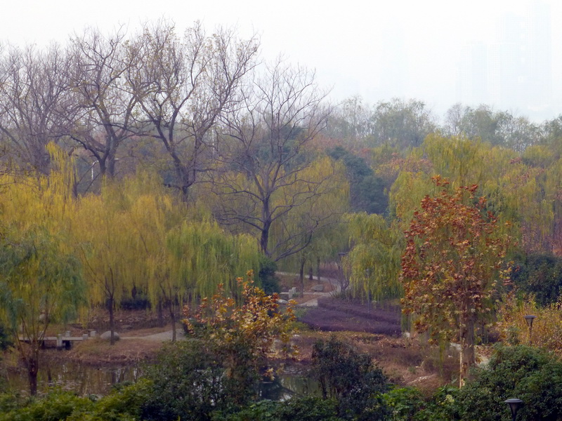 p1150323.jpg