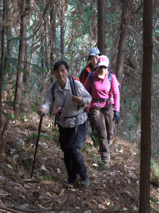_mg_0036.jpg