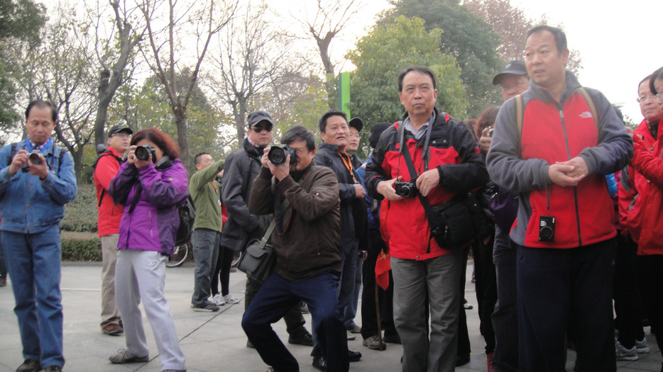 dsc07270.jpg