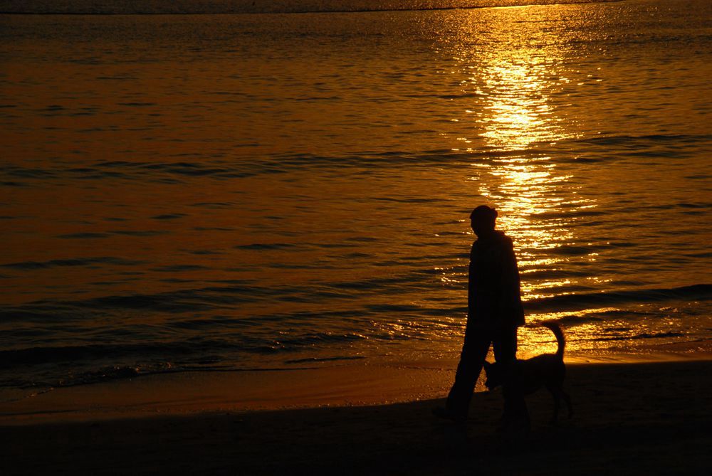 dsc_0207__.jpg