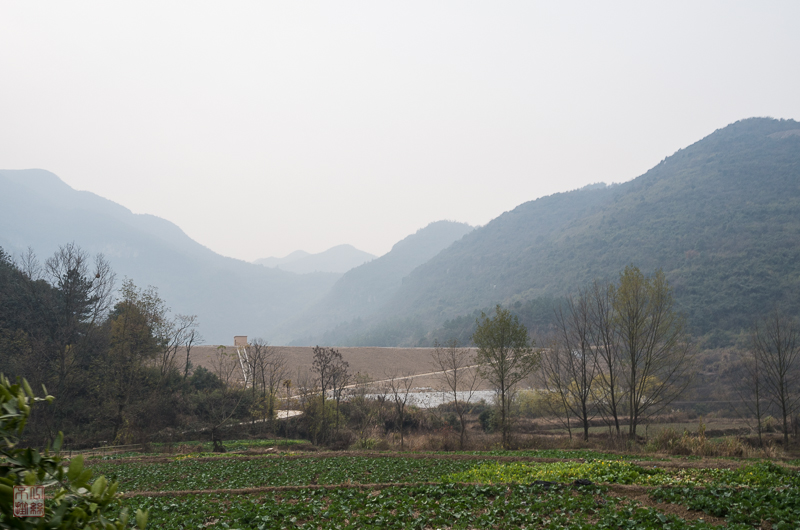 l1002502.jpg