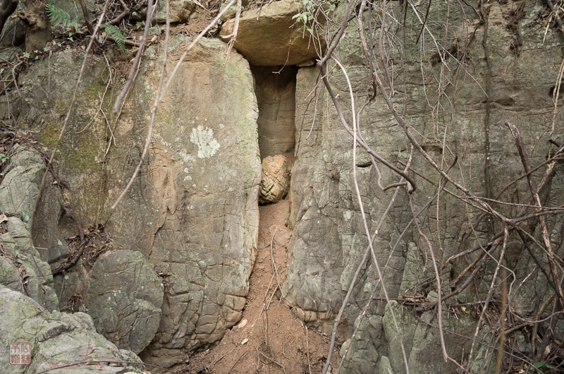 l1002537.jpg