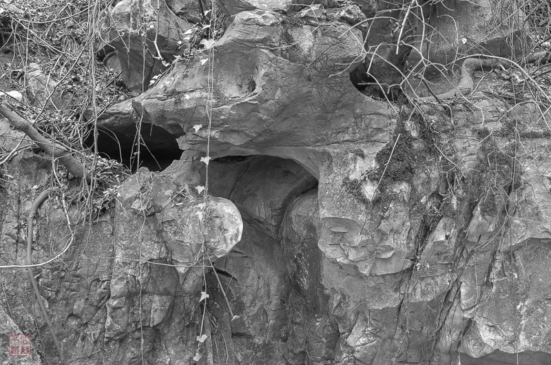 l1002544.jpg