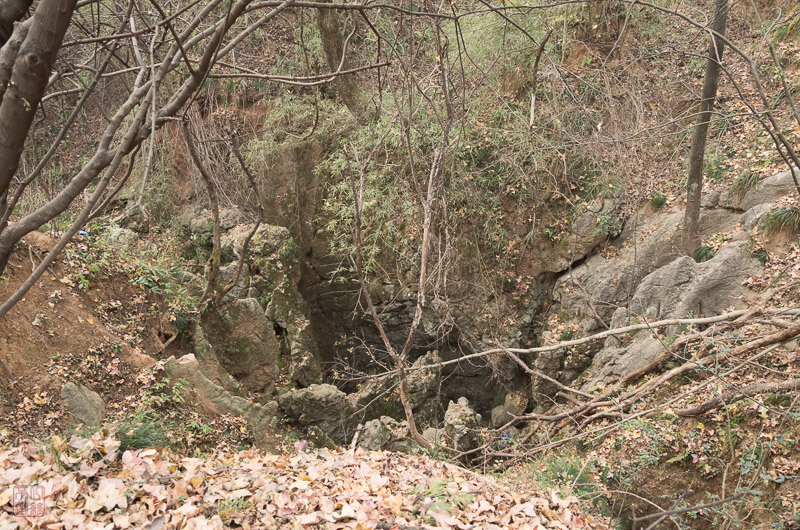 l1002628.jpg
