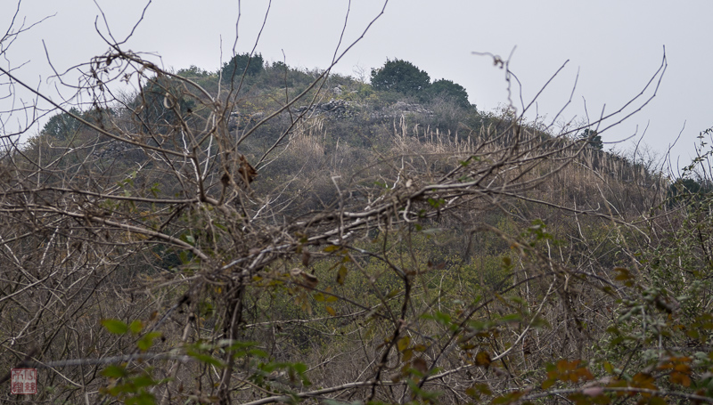 l1002733.jpg