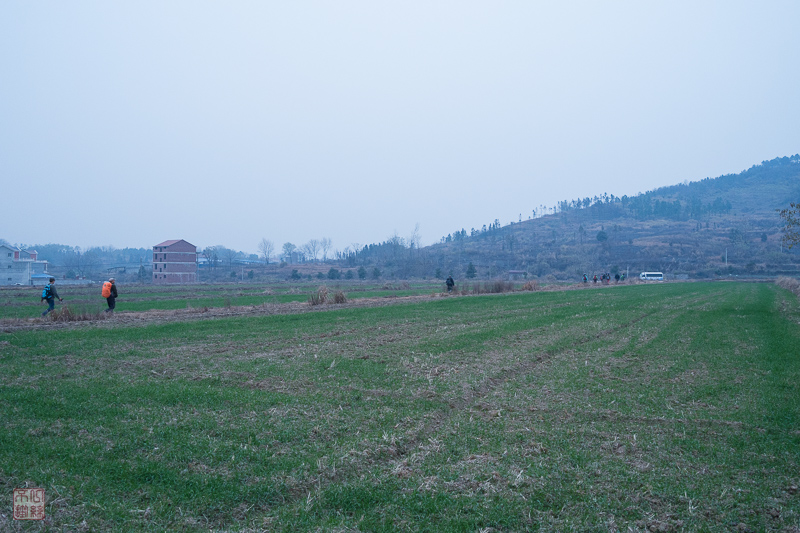 l1002765.jpg