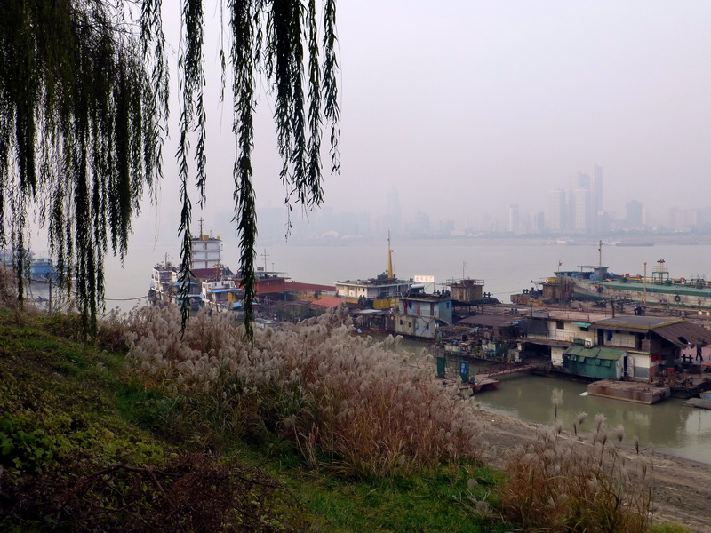 p1150431.jpg