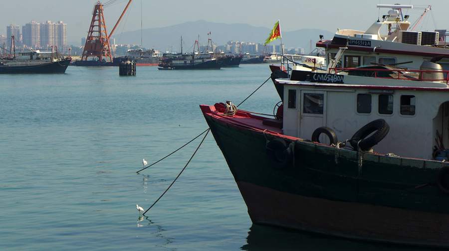 p1200569_1.jpg