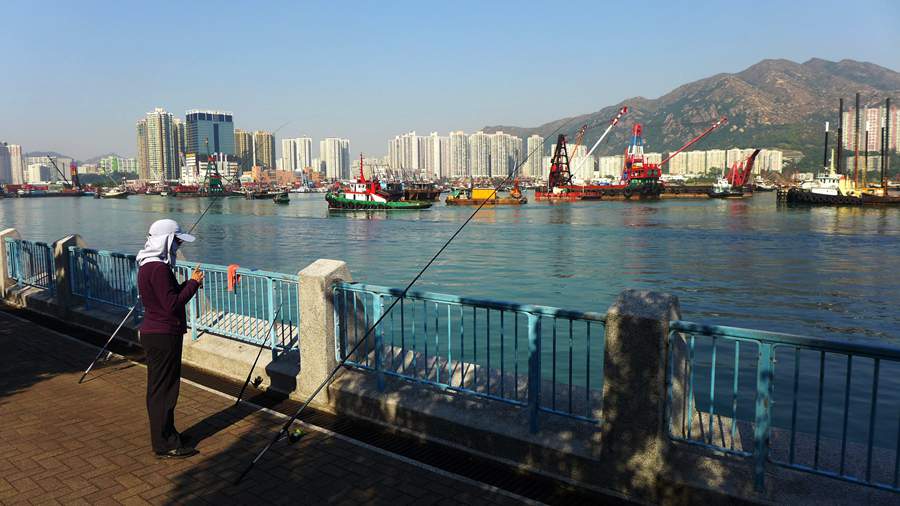 p1200579_1.jpg