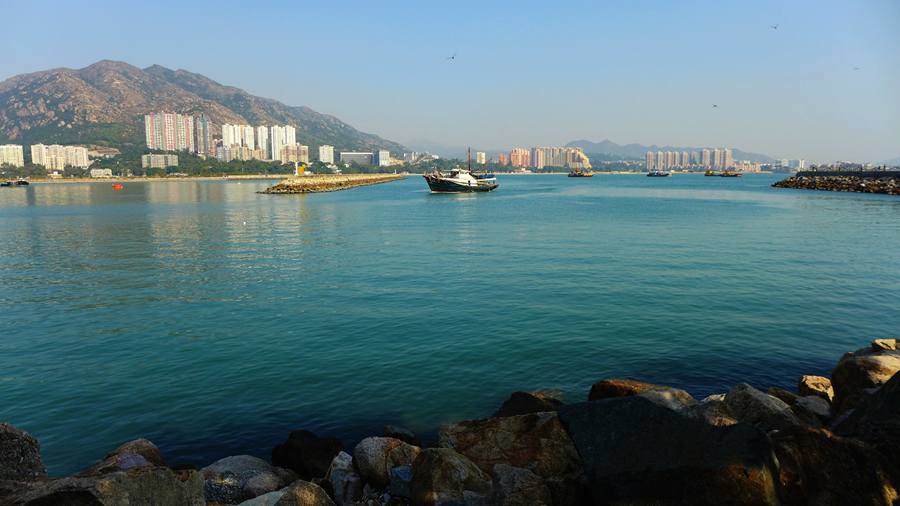 p1200584_1.jpg