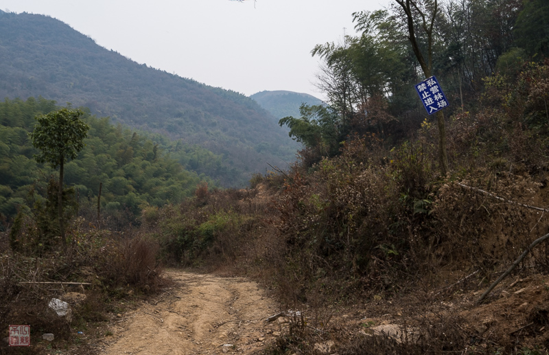 l1002674.jpg