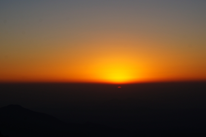 dsc03769.jpg