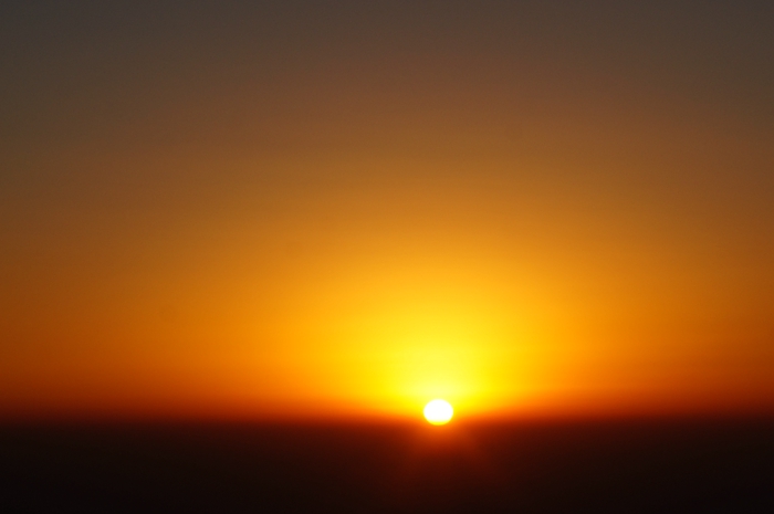dsc03781.jpg