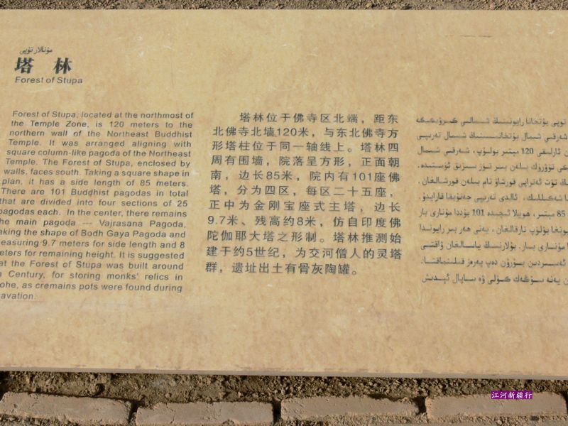 p1290699.jpg