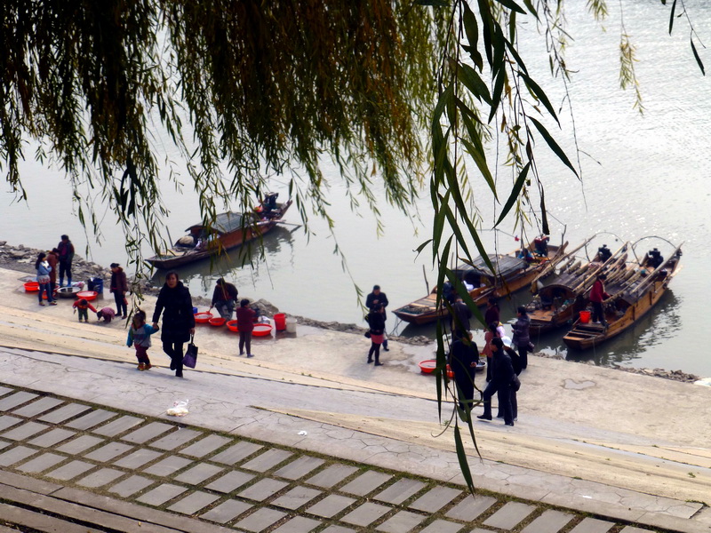 p1150541.jpg