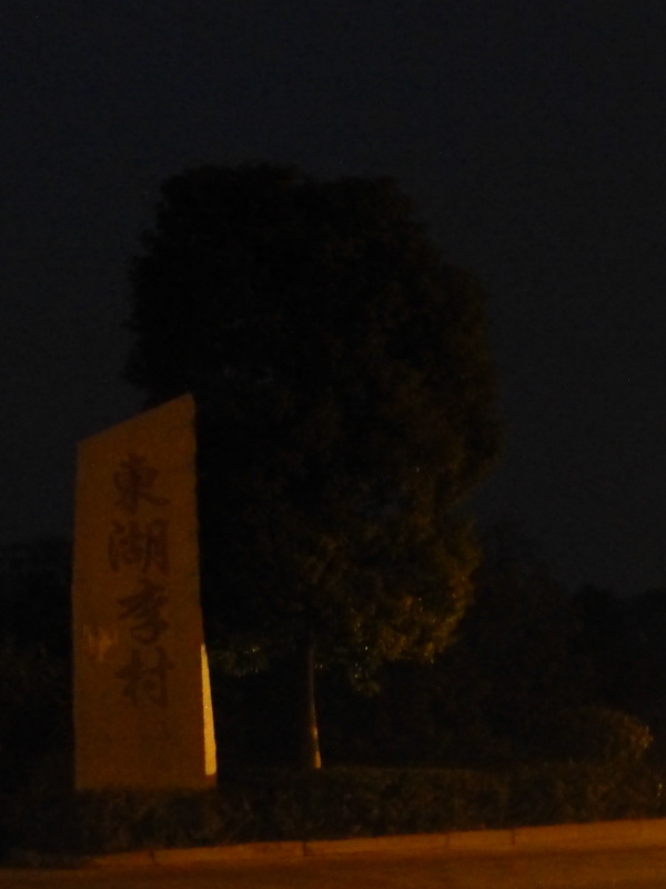 p1150214.jpg