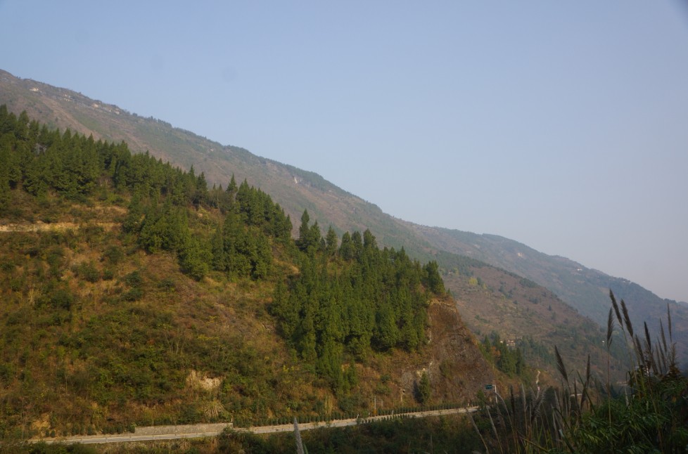 06.jpg