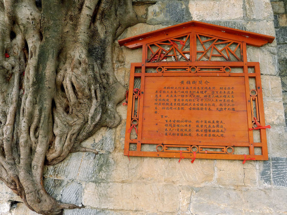 p1240727__.jpg